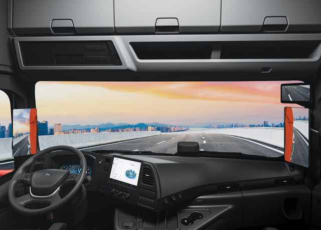 Digital Mirror System