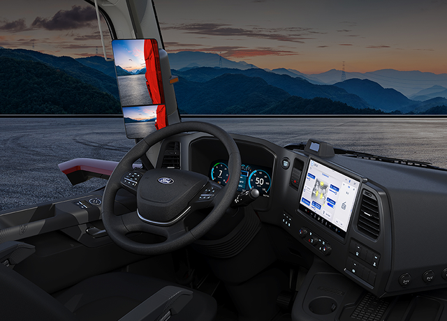 Digital Mirror System